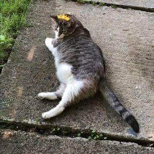 Meet your Posher, Caitlyn